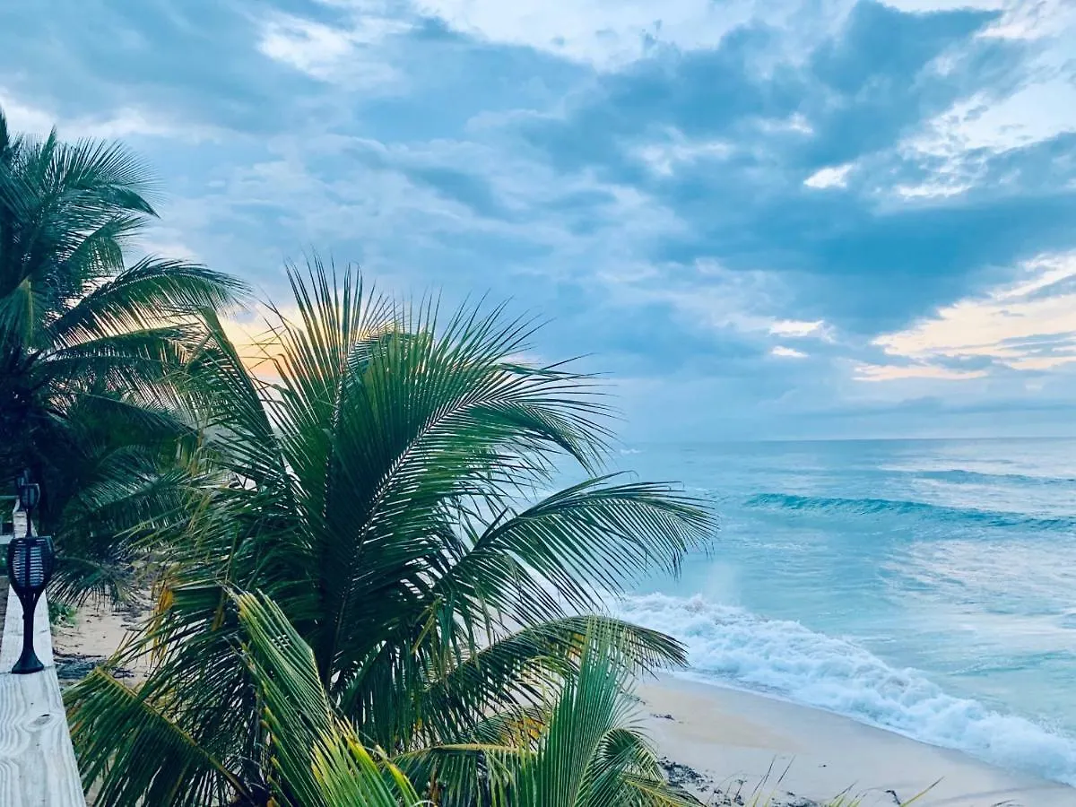 Ventana Al Atlantico At Arecibo 681 Ocean Drive