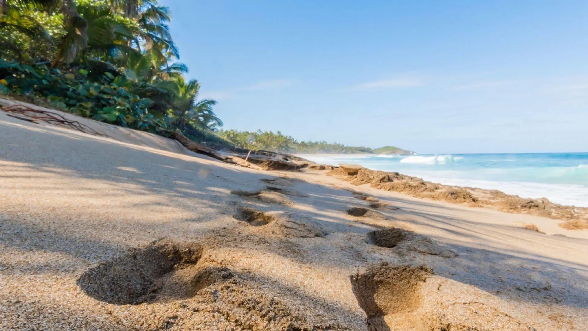 Ventana Al Atlantico At Arecibo 681 Ocean Drive Daire Islote