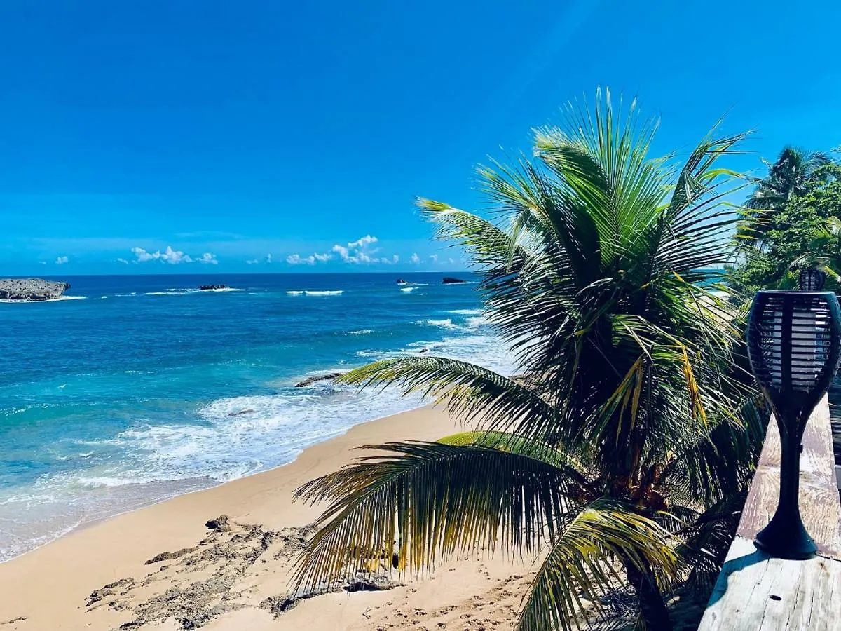 Pansiyon Ventana Al Atlantico At Arecibo 681 Ocean Drive Daire Islote